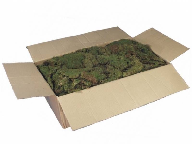 Muschio Naturale In Scatola 500gr Per Presepe E Decorazioni - Rossi Rosa, Tappeto Verde 35x40 Cm